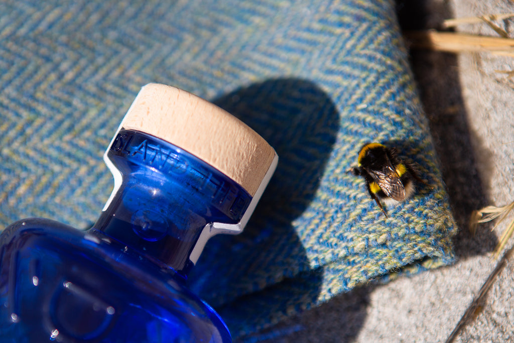 a close up of a bottle of Downpour Scottish Dry Gin lying on a blue tweed blanket, with white sand beneath it. A big fuzzy bumble bee is also sitting on the blanket, enjoying the sun. 