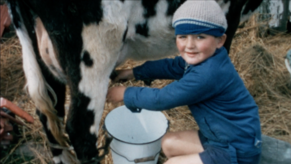 Still from a vintage film reel of a young child in 1970s clothing, milking a cow into an enamel bucket 
