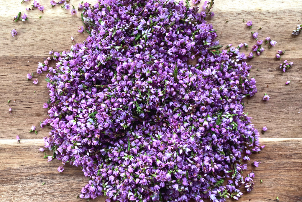 a pile of heather flowers, gathered and lying on a wooden board photographed from above