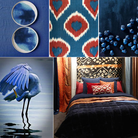 Inspiration couleur : bleu nuit – Le Monde Sauvage