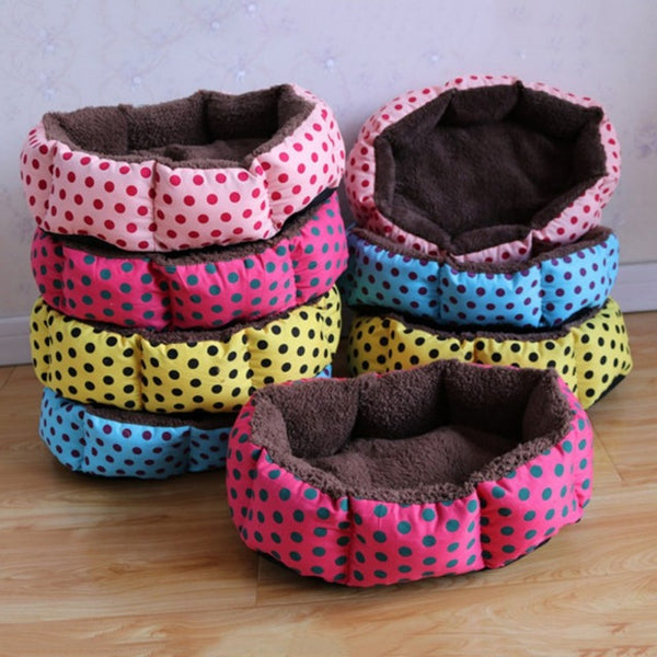 colorful dog beds