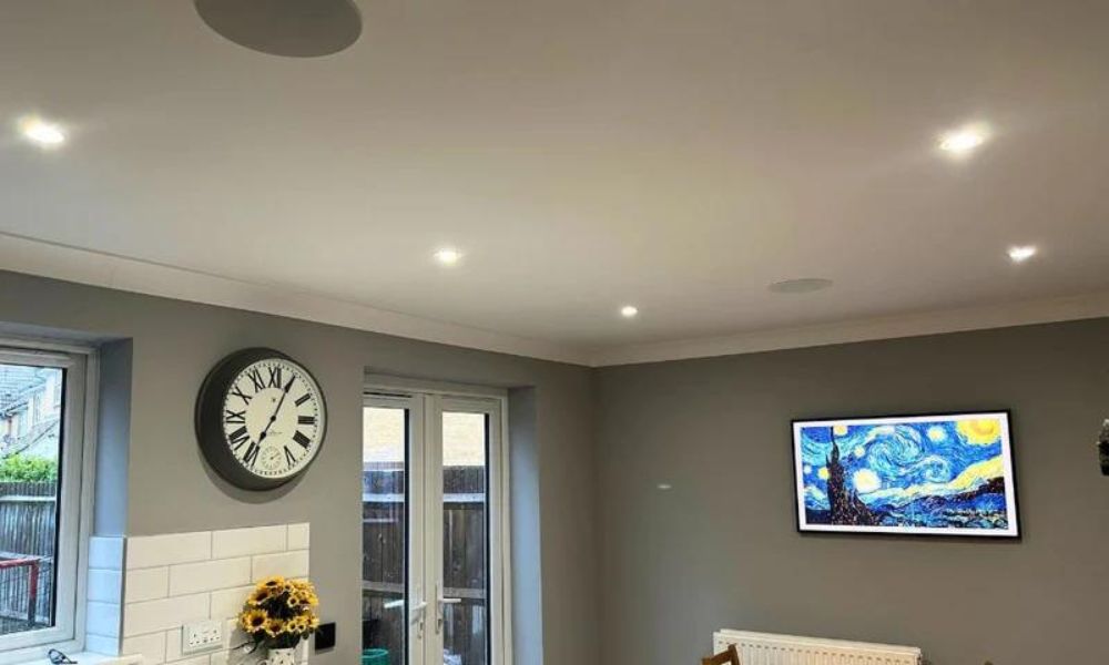 Ceiling Speakers For Music & TV