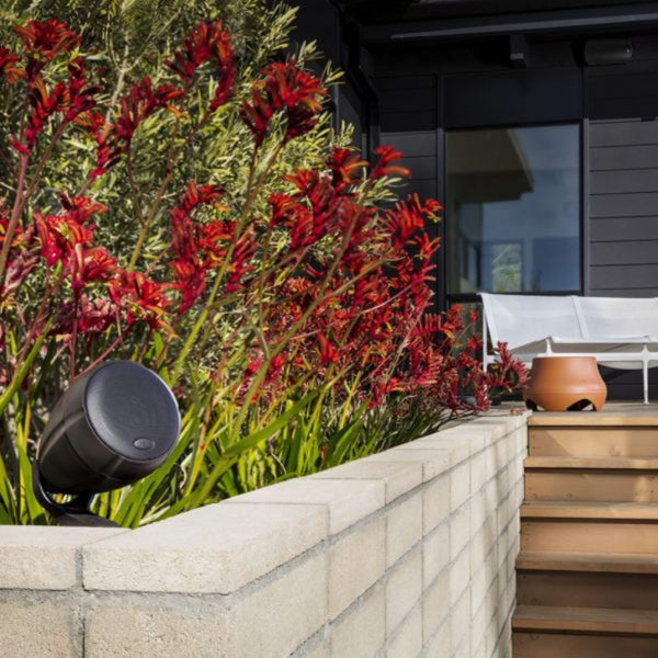 Polk Audio atrium sat speaker in flower bed with Sub 100 outdoor subwoofer behind on patio