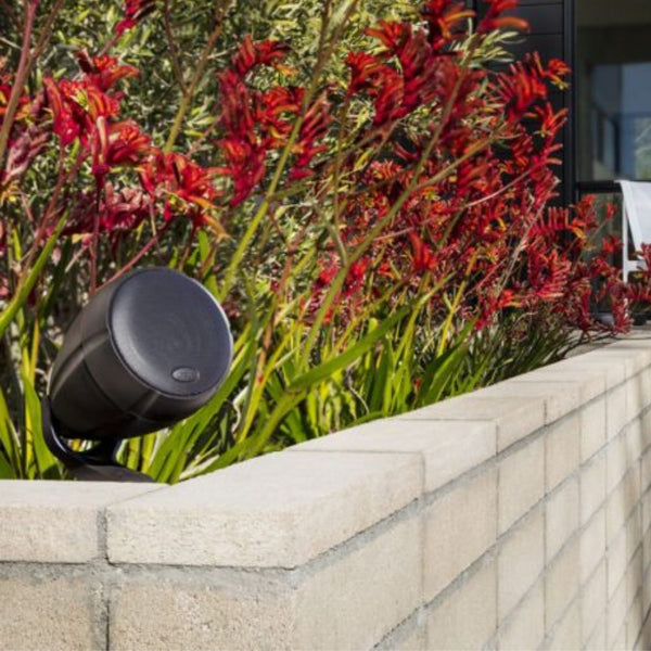 Polk Audio SAT 300 Outdoor Satellite Speaker In Flower Bed With Red Flowers