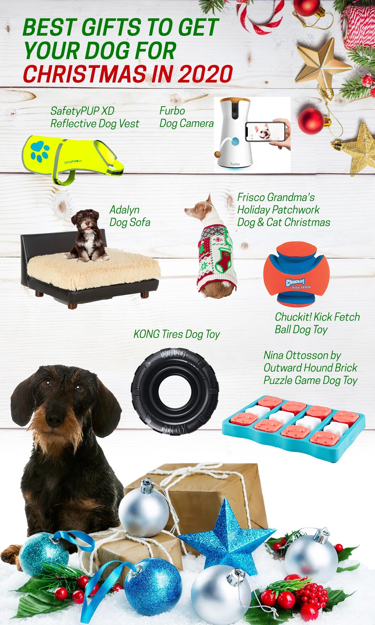 The 15 Best Christmas Gifts for your Dog in 2020 Infographic