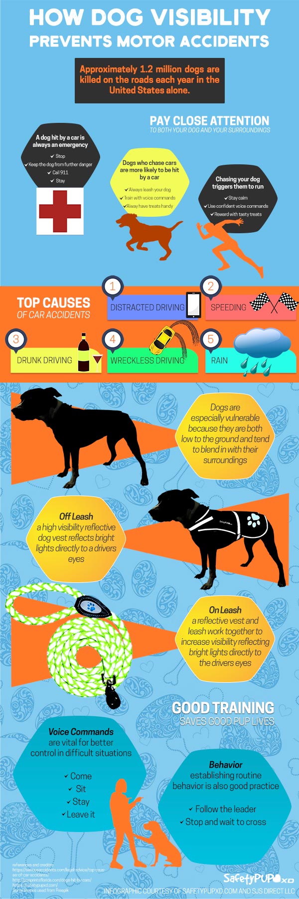 reflective dog vest how visibility prevents motor accidents with cars infographic