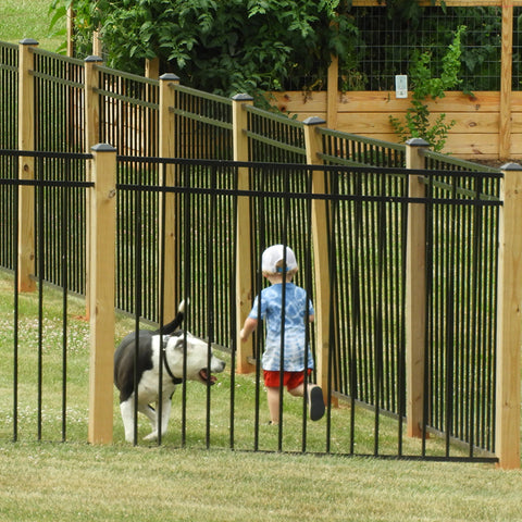 Secure the yard or wherever your PUP calls home. Walk 'em on a leash in busy or suburban areas