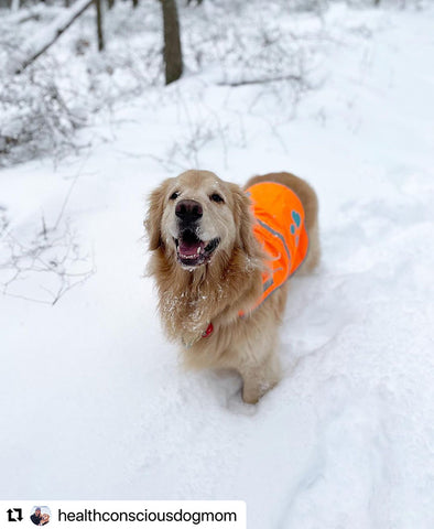 healthconciousdogmom Protect their paws from cold surfaces with booties or paw wax, and steer clear of thin ice. Keep 'em away from antifreeze – it's dangerous, even in small amounts