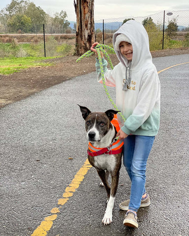 New Years Eve Dog Safety Tips - Put your pup in a relaxed state by taking them for a walk or to the dog park on new years eve day