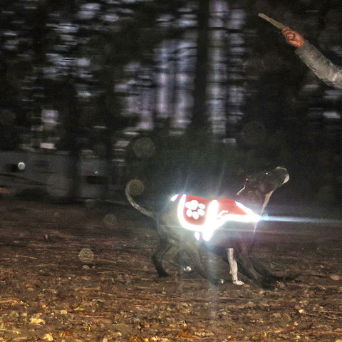 reflective gear for walking at night