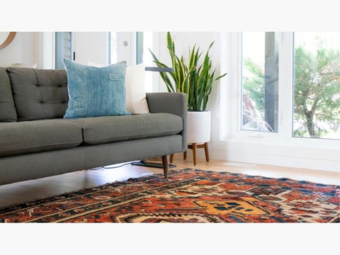 Color-matched eye-catching rug