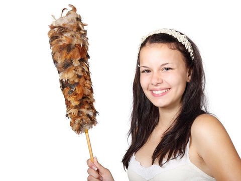 Lady posing with cleaning tool