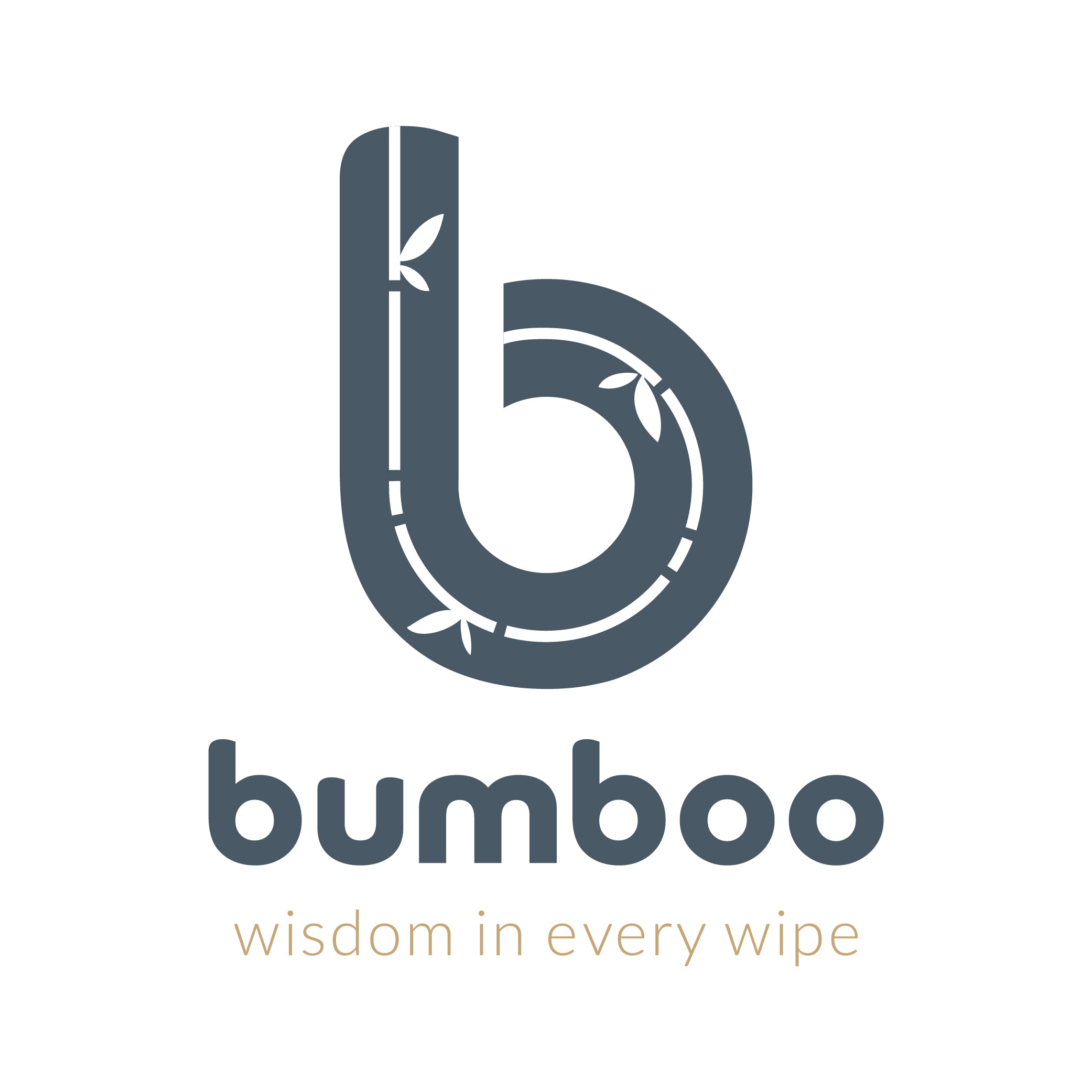  bumboo wisdom in every wipe 