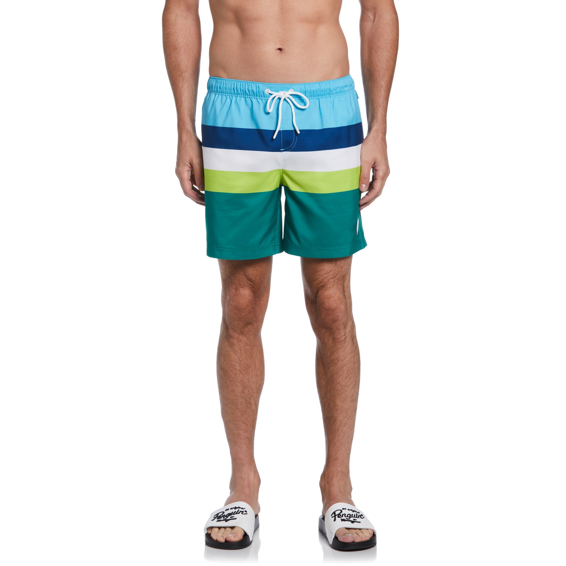 View Color Block Swim Short In Shady Glade information