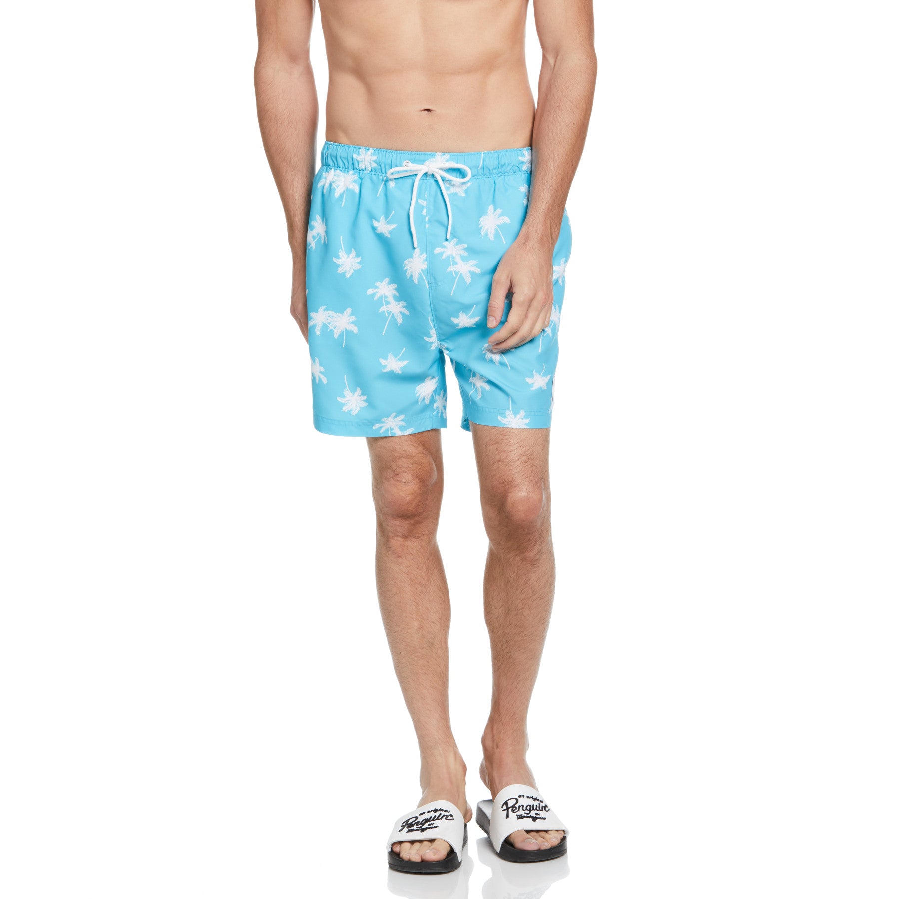 View Plus Size Palm Tree Print Swim Short In Blue Atoll information