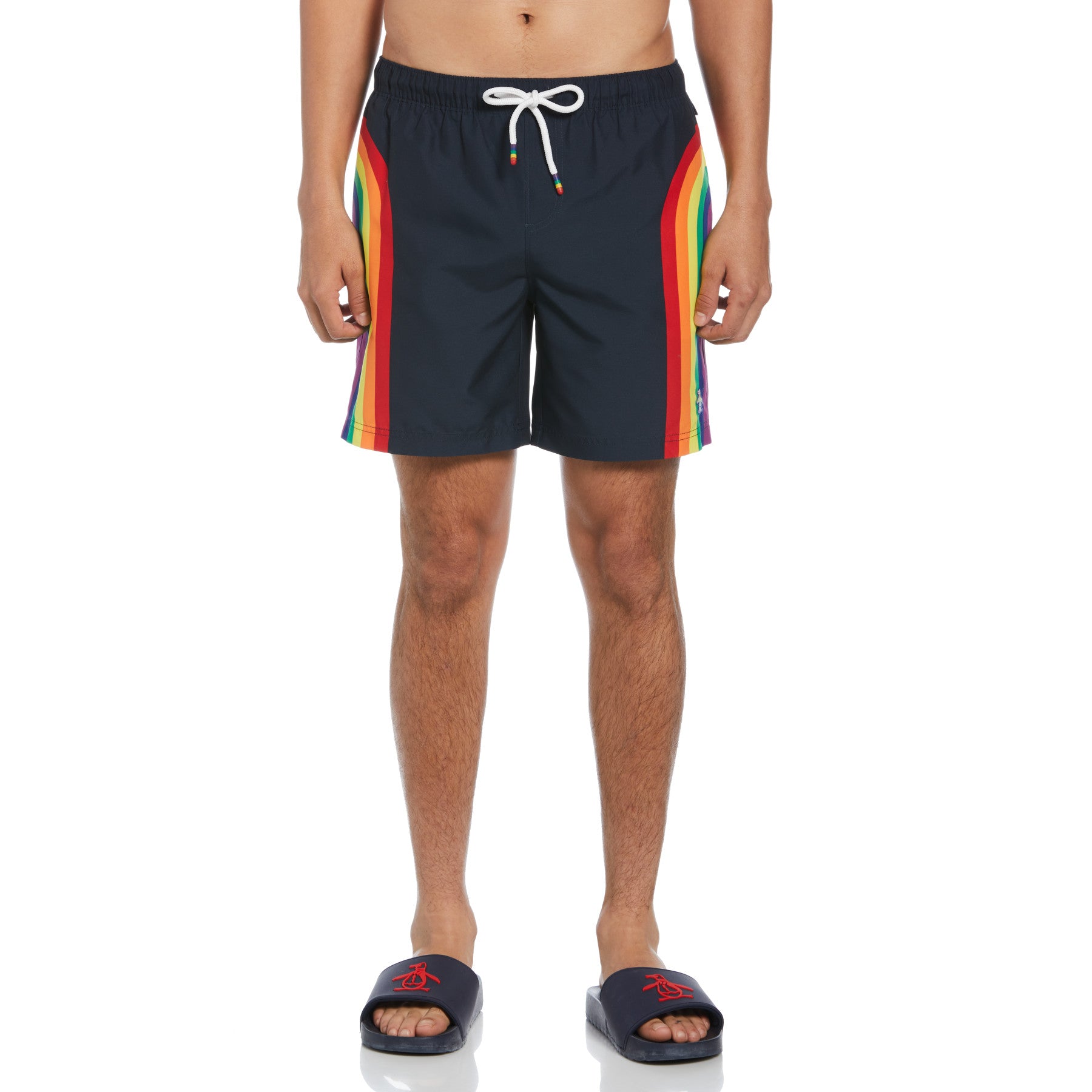 View Pride Box Rainbow Graphic Swim Shorts In Dark Sapphire information