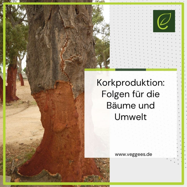 Korkproduktion Folgen für die Bäume und Umwelt