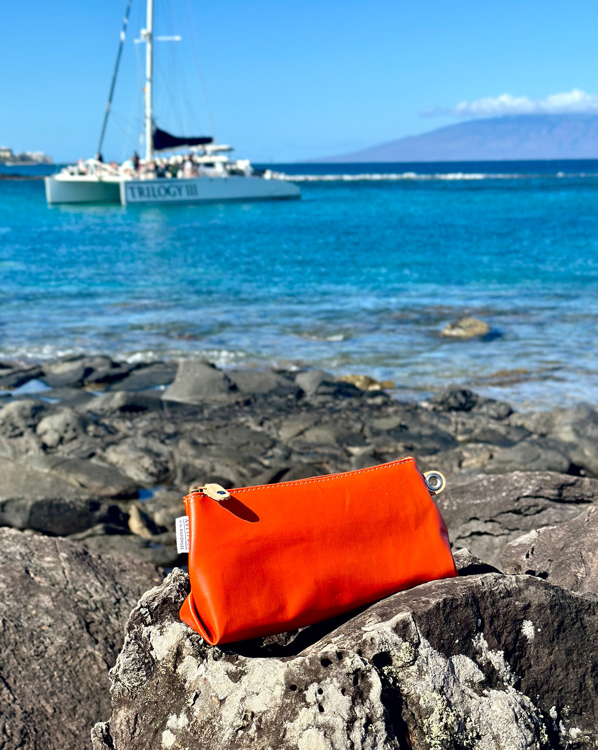 ARTIFACT No.07 Zip Pouch in Vintage Up-Cycled Awning Material: Maui, Hawaii