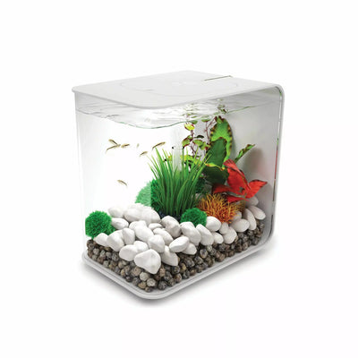 GloFish Betta Trilogy Aquarium 3 gal – Talis Us