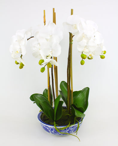 White Phalaenopsis Orchid x5 Artificial Flower Arrangement In Blue & W –  Floralistic
