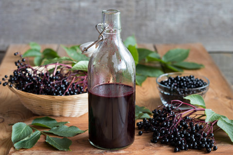 A bottle of elderberry syrup - InterPlexus Blog Immune Support