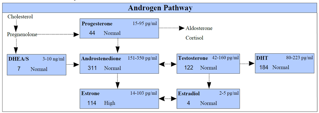 Best Saliva Hormone Test Panel for Men - The Androgen Pathway Panel with Free Testosterone Assay