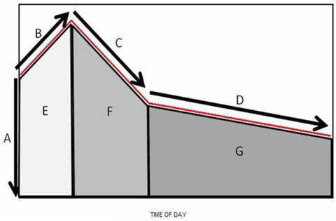 Healthy Cortisol Awakening Response (CAR) Graph