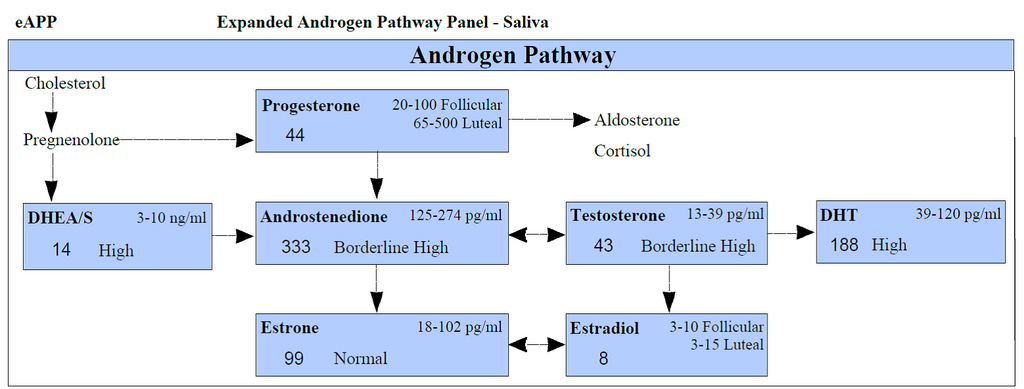 Expanded Androgen Pathway Panel - High Salivary DHT Level in a Woman with Chronic Stress, PCOS, and Hair Loss