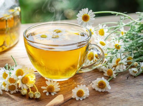 Herbal chamomile tea and chamomile flowers near teapot and tea glass on wooden table - InterPlexus Blog