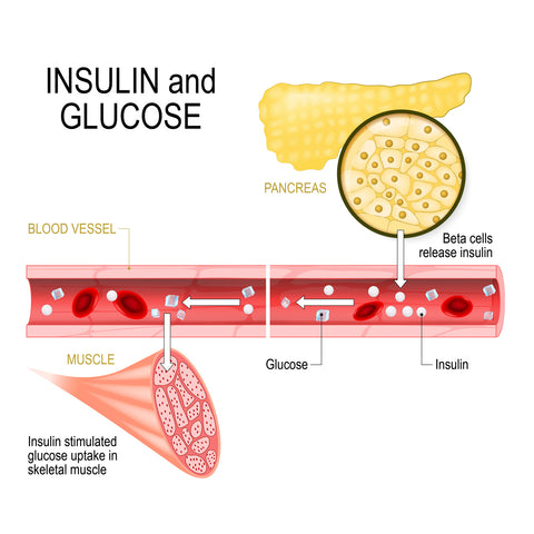 Insulin and glucose