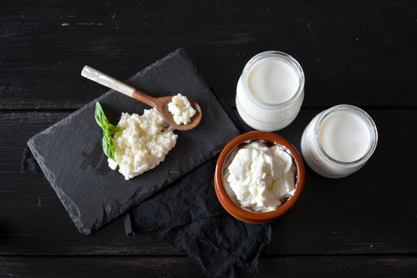 Kefir and Yogurt - InterPlexus Post and Probiotic Collection