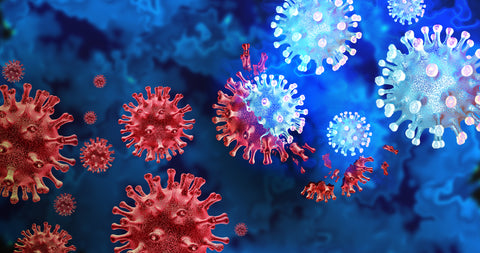 Mutating Virus InterPlexus Blog Immune Support 