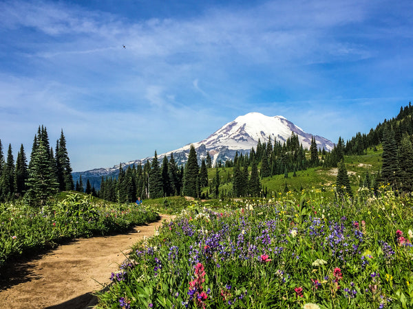 Mount Rainier in spring