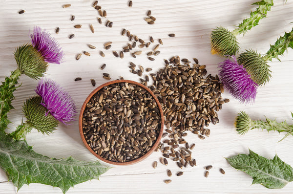 Seeds of Milk Thistle with Flower - Do You Need Supplements Part II
