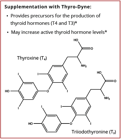 Supplementation with Thyro-Dyne Data Sheet