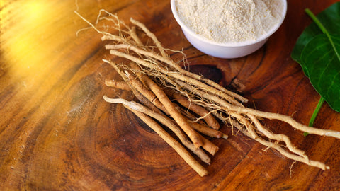 Ashwagandha Boosts The Salivary Free Testosterone Level While Supporting Those with Male Infertility