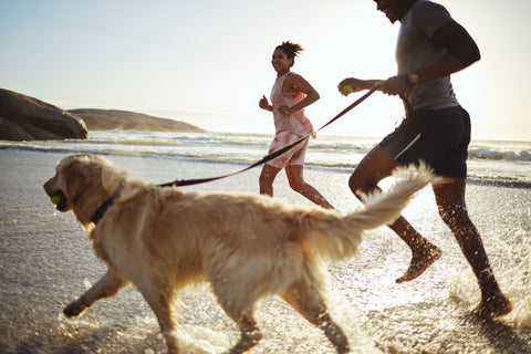 Healthy Young Couple with Ideal Saliva Hormone Levels Running on the Beach for Exercise
