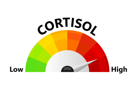 High Cortisol - Stress Management and Stress Relief with the Best Natural Supplements