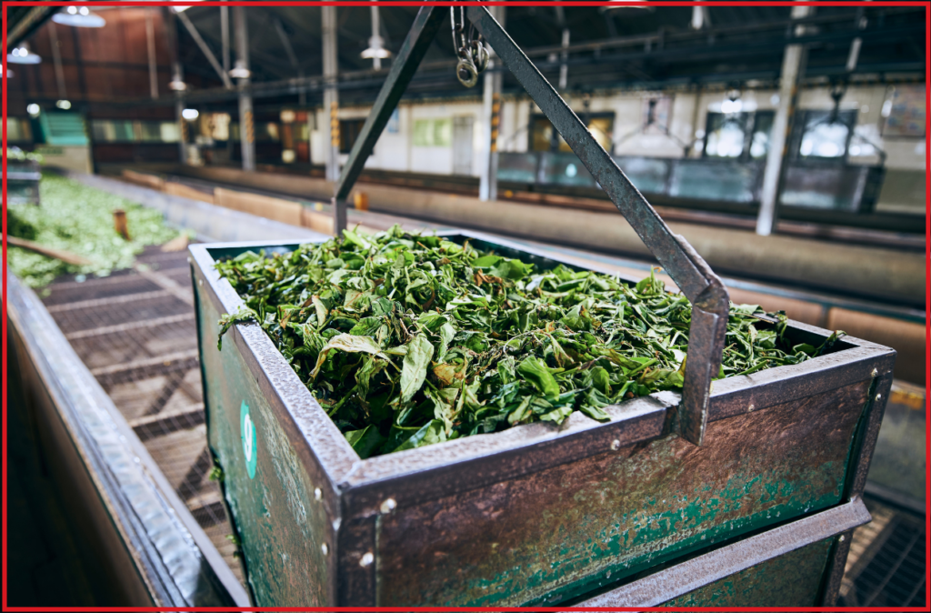 Rooibos Rocks looseleaf