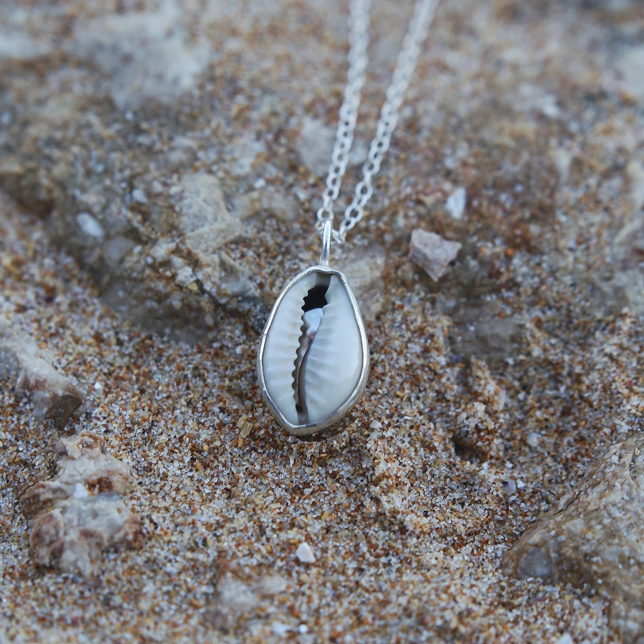 cowrie shell silver necklace