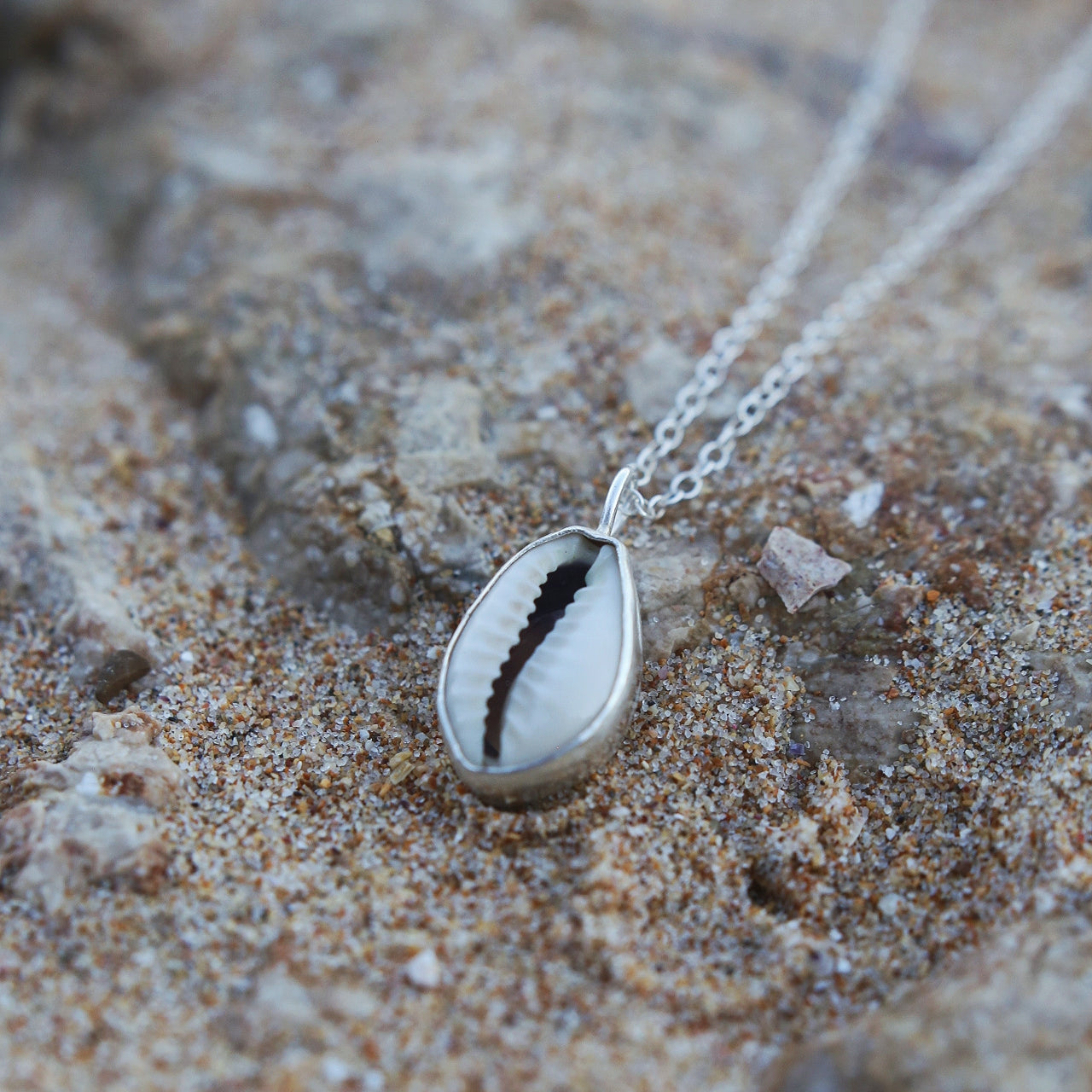 cowrie shell silver necklace