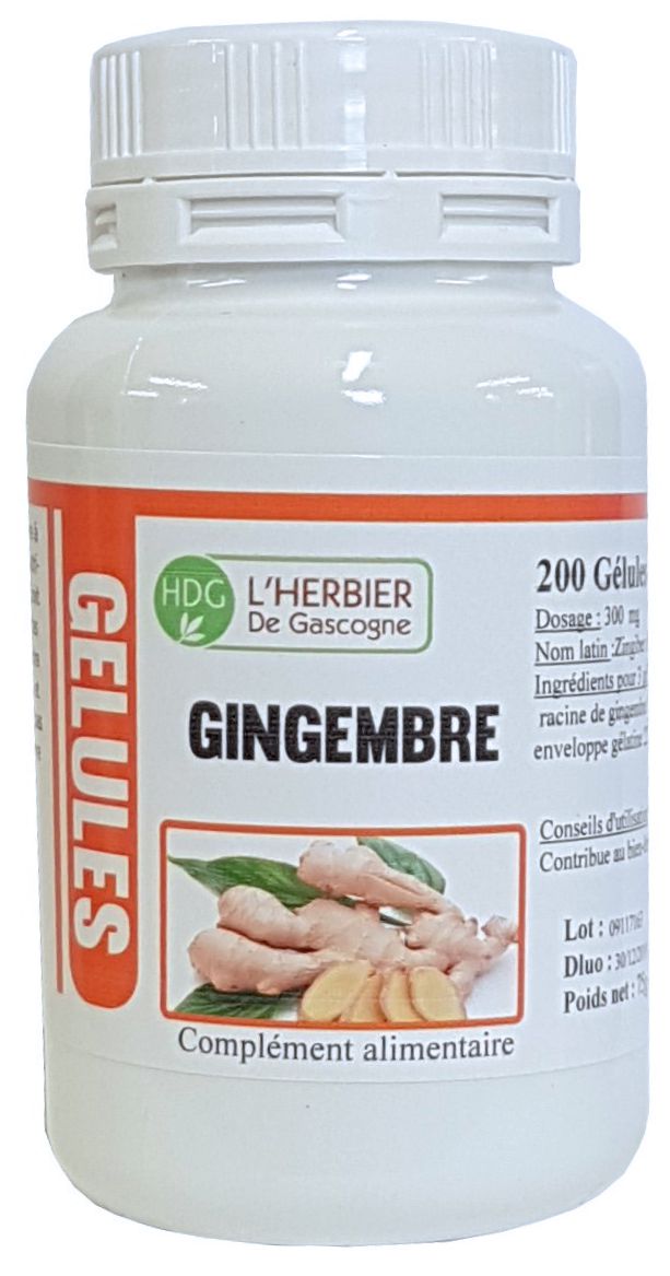 GINGEMBRE – SOLIDRIVE