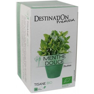 TISANE MENTHE DOUCE – SOLIDRIVE