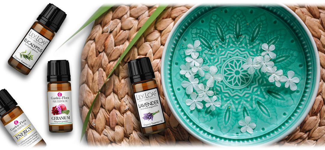 An image featuring essential oil bottles and aromatic plants. The image suggests the topic of aromatherapy and its benefits