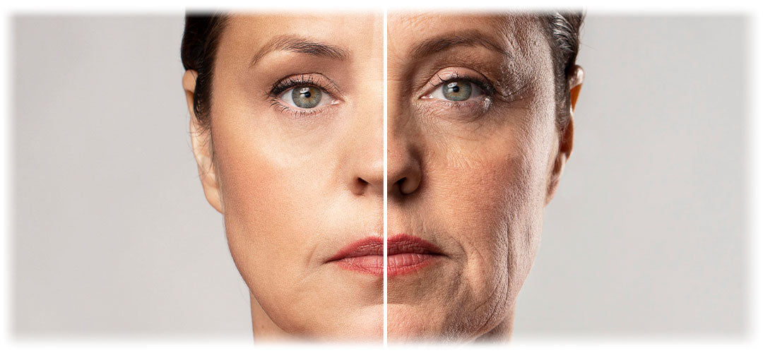 Split-face comparison of youthful and aged skin, showcasing the rejuvenating effects of Lily & Loaf Collagen
