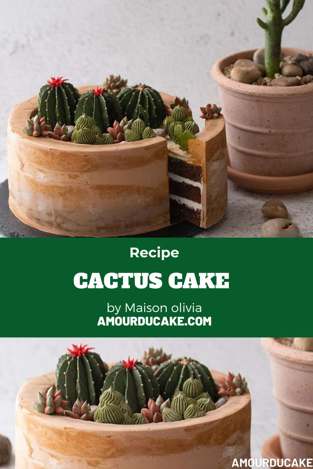 Cactus Cake By Maison Olivia Amourducake