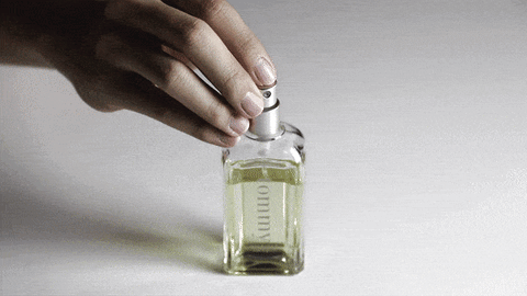 NanoSprayer - The Customized Refillable Perfume Sprayer, 5ml Travel At –  mordeco