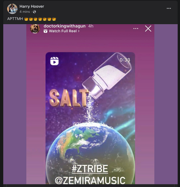 Zemira Israel Ztribe Salt