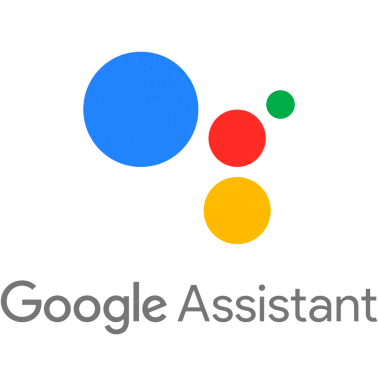 Google Assistant privacy policy
