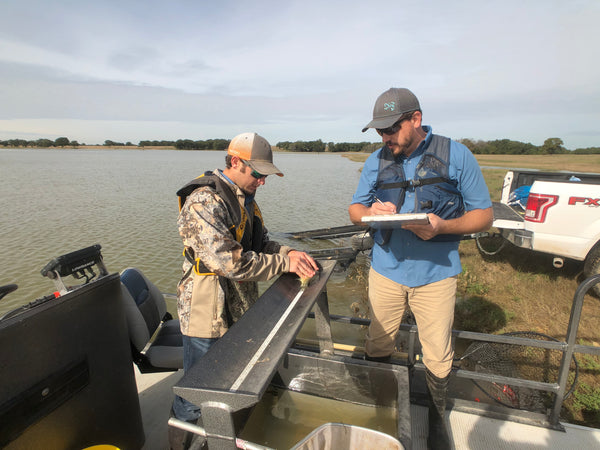 Pond King Fisheries Biologist Creating an Electrofishing Report
